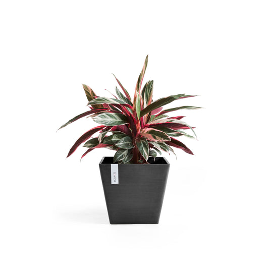 ECOPOTS Rotterdam 40 cm - blómapottur