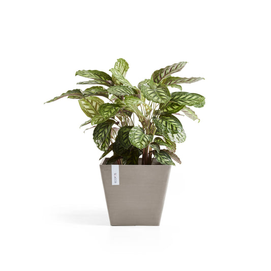 ECOPOTS Rotterdam 30 cm - blómapottur
