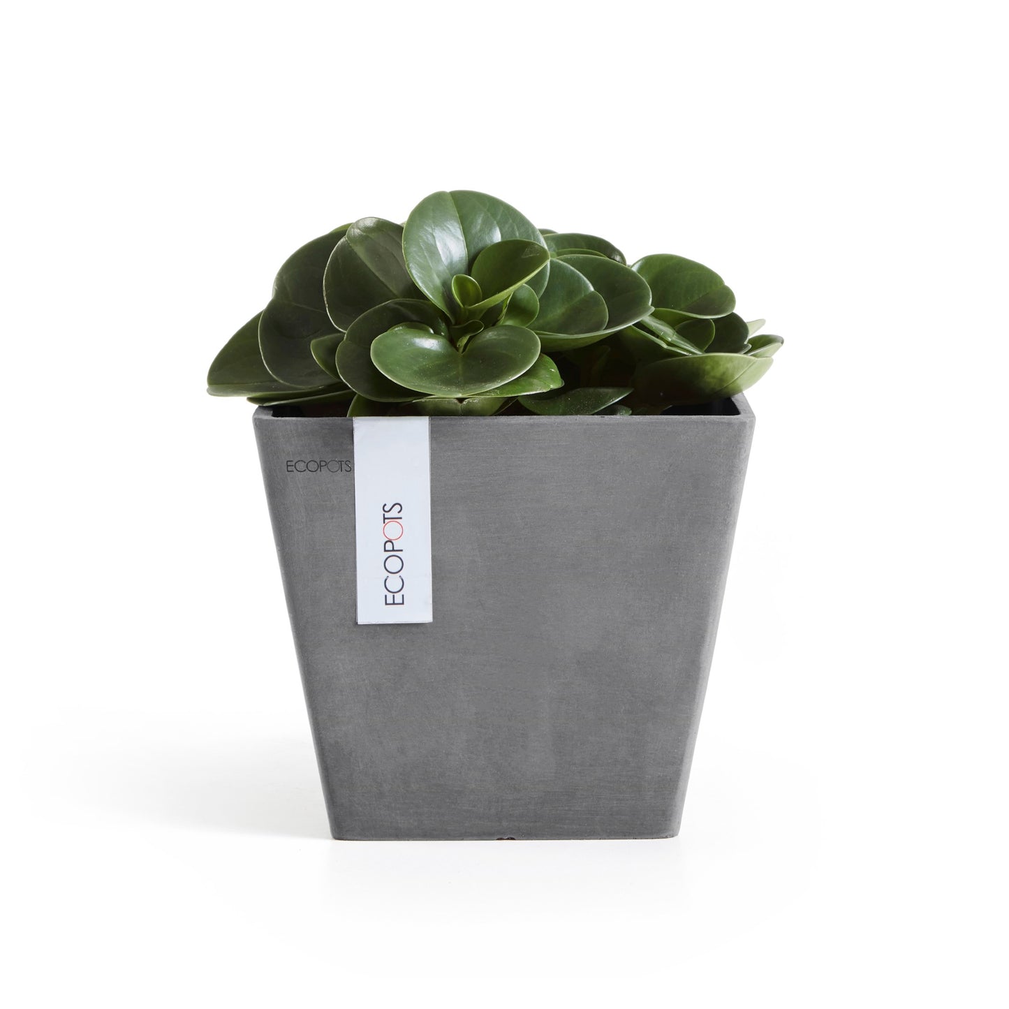 ECOPOTS Rotterdam 20 cm - blómapottur