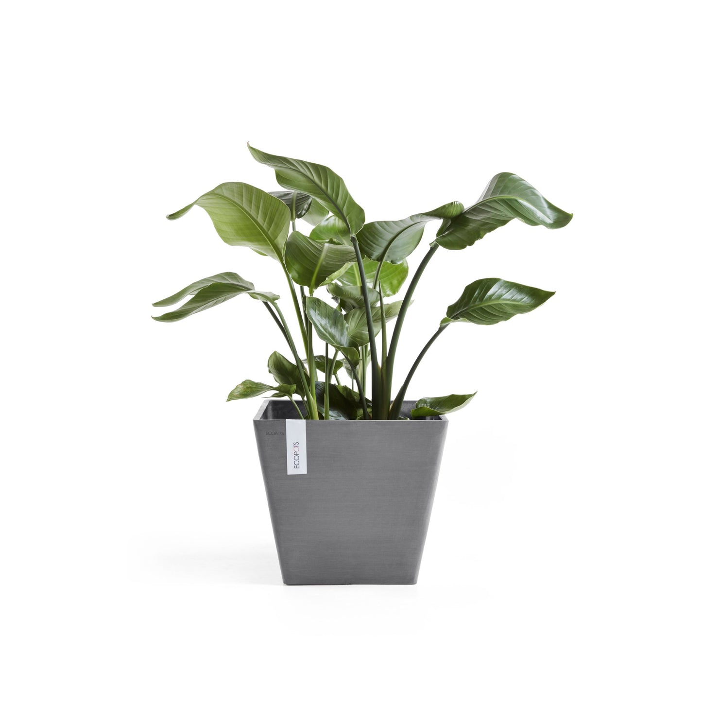 ECOPOTS Rotterdam 30 cm - blómapottur