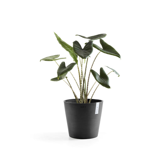 ECOPOTS Amsterdam 40 cm - blómapottur