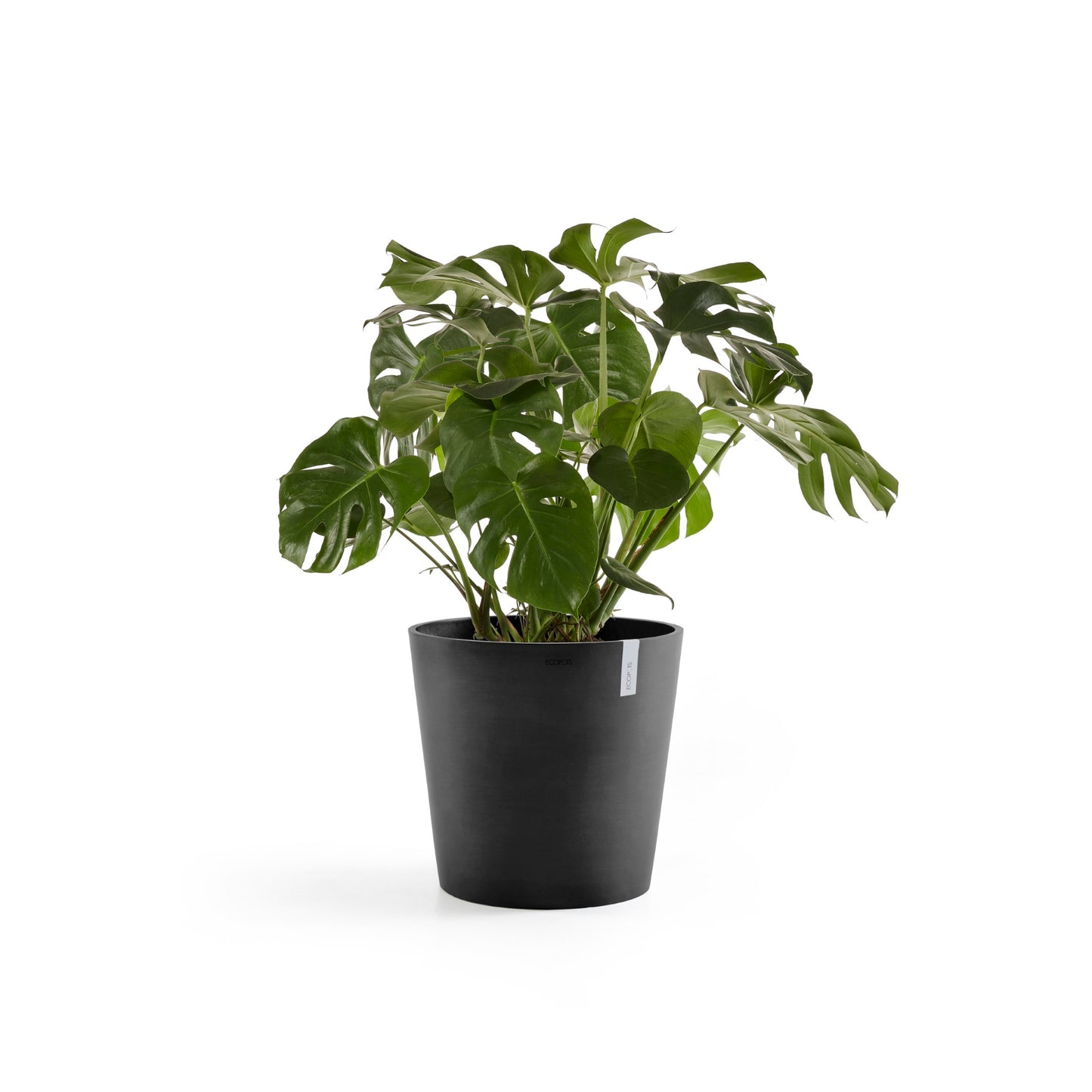 ECOPOTS Amsterdam 50 cm - blómapottur