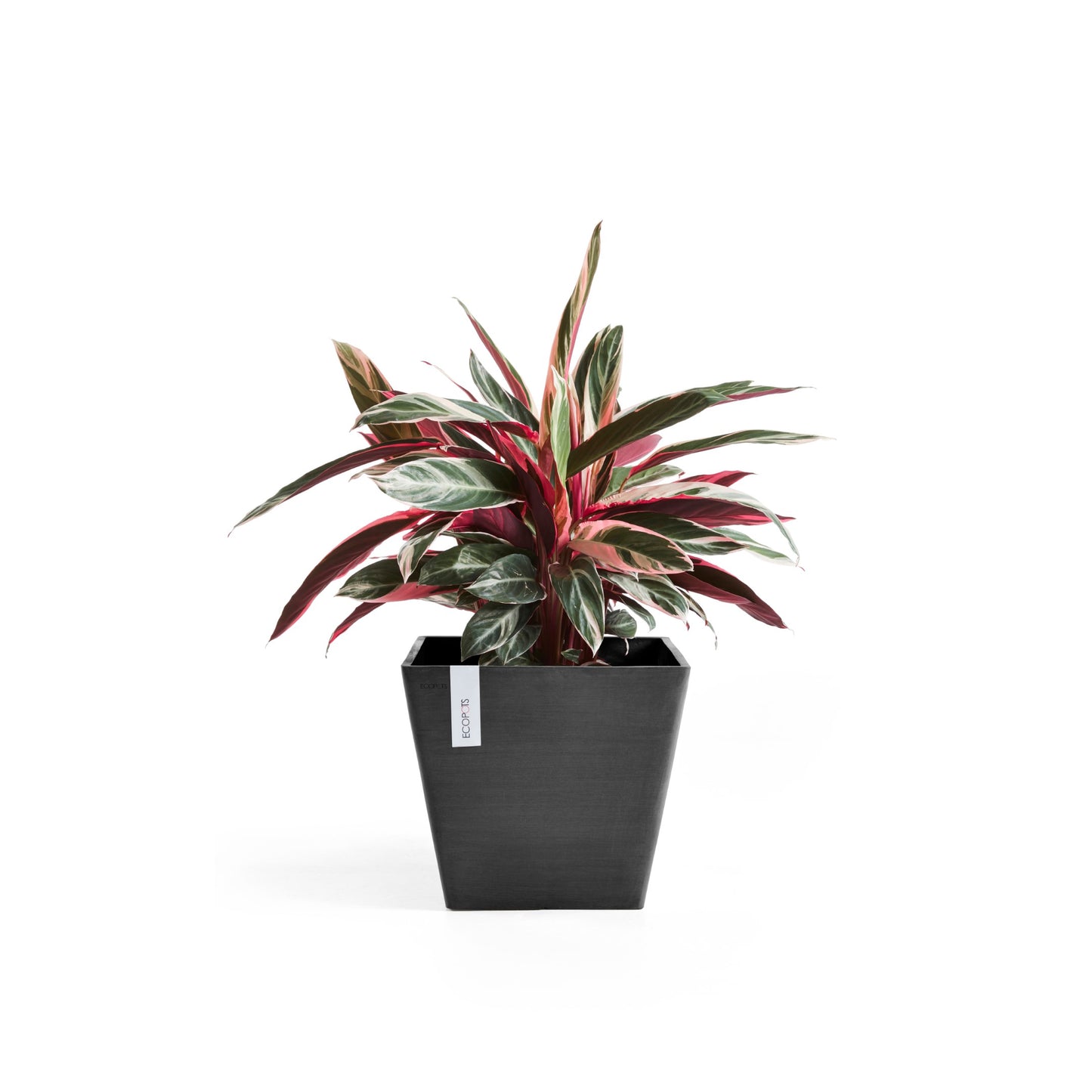 ECOPOTS Rotterdam 30 cm - blómapottur