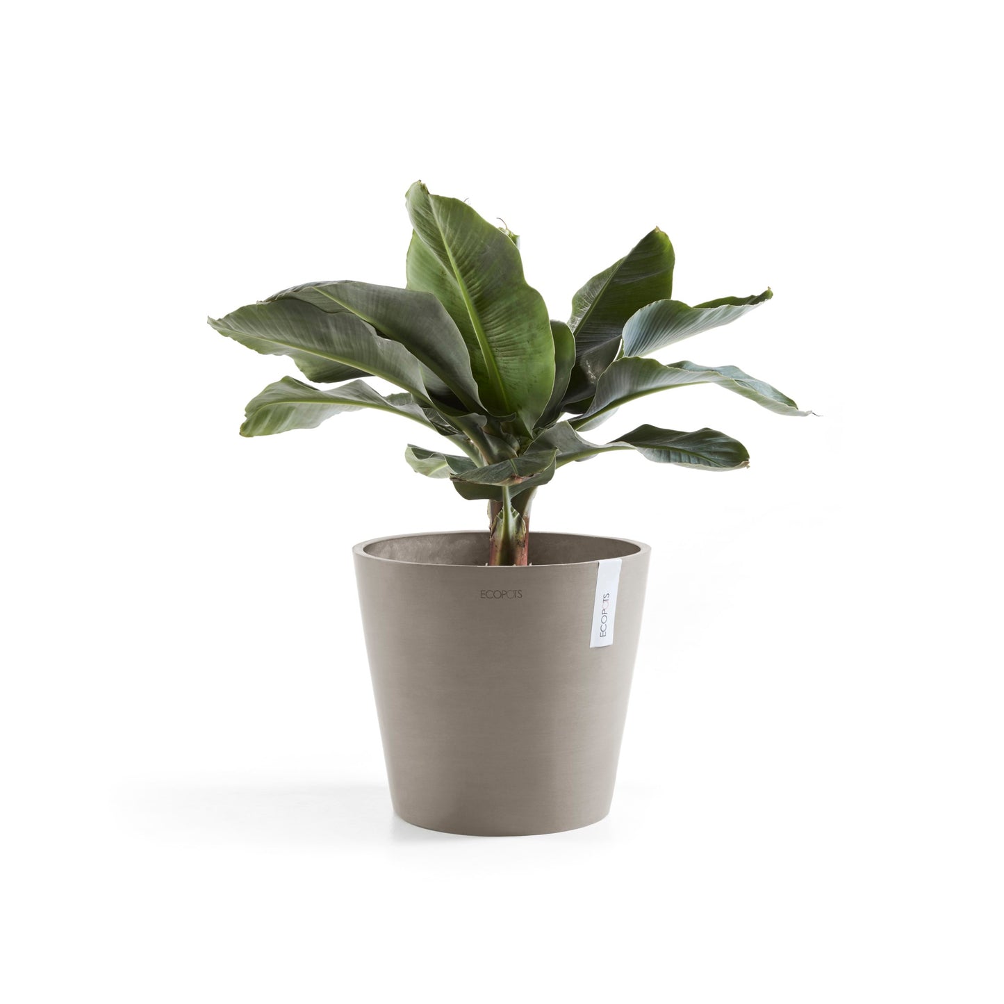 ECOPOTS Amsterdam 40 cm - blómapottur