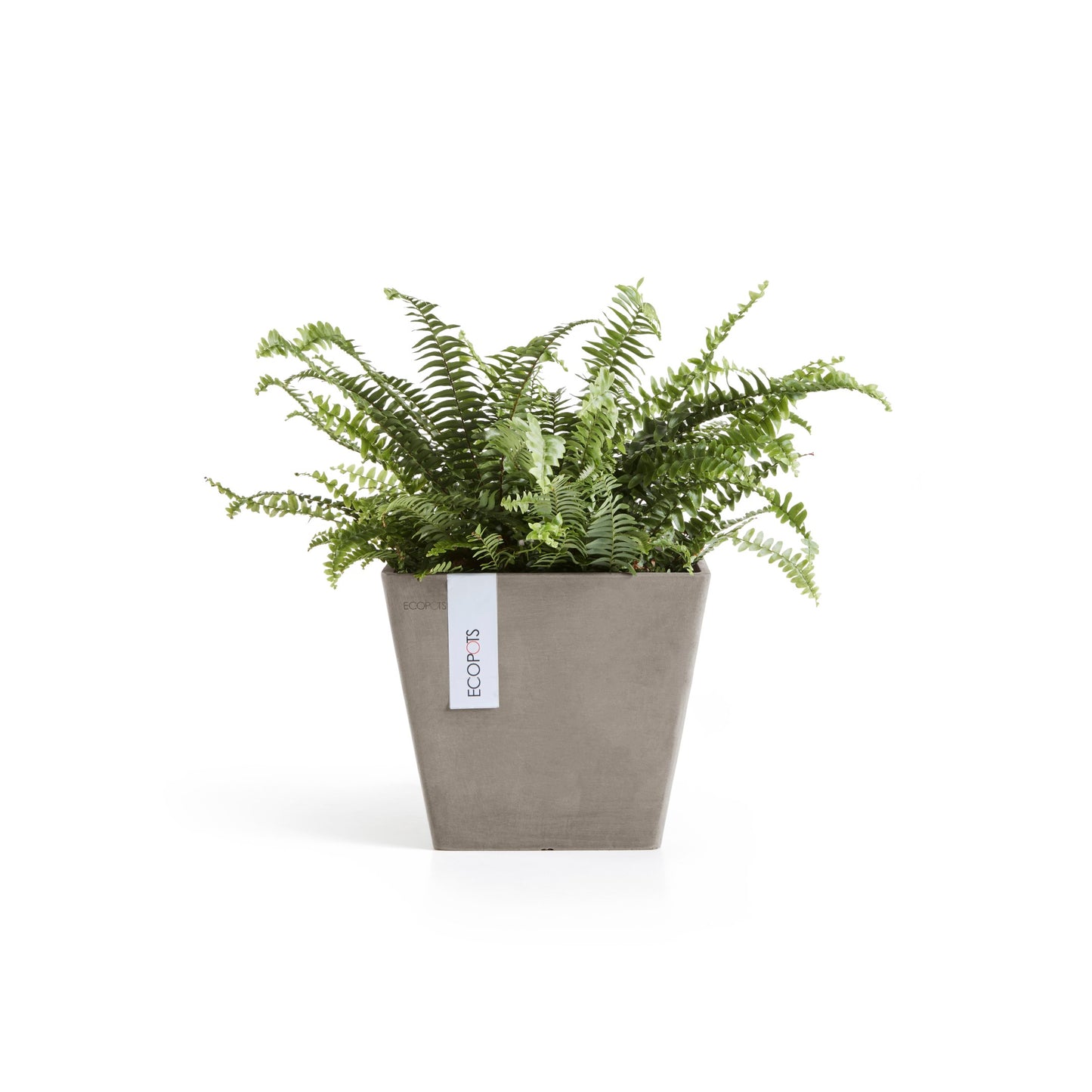 ECOPOTS Rotterdam 20 cm - blómapottur