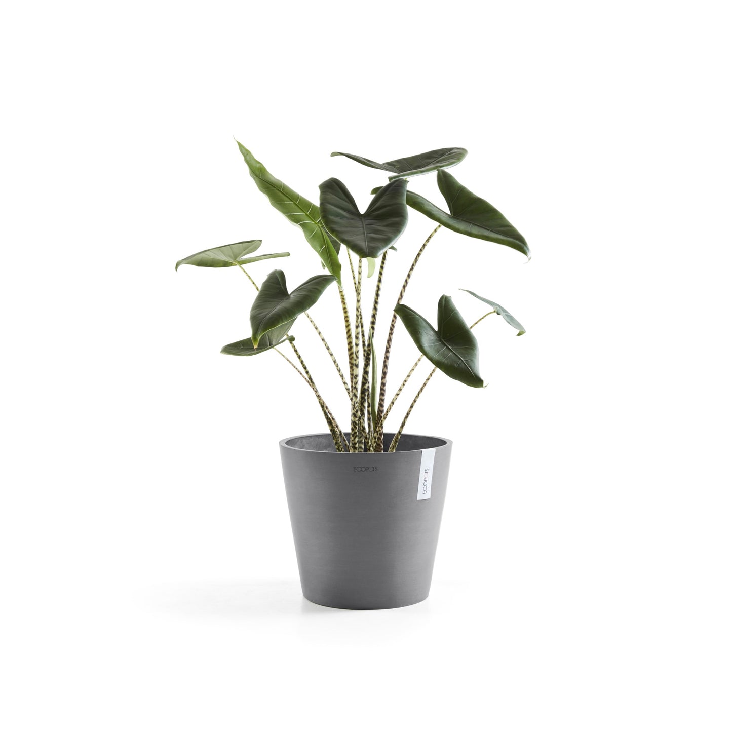 ECOPOTS Amsterdam 40 cm - blómapottur