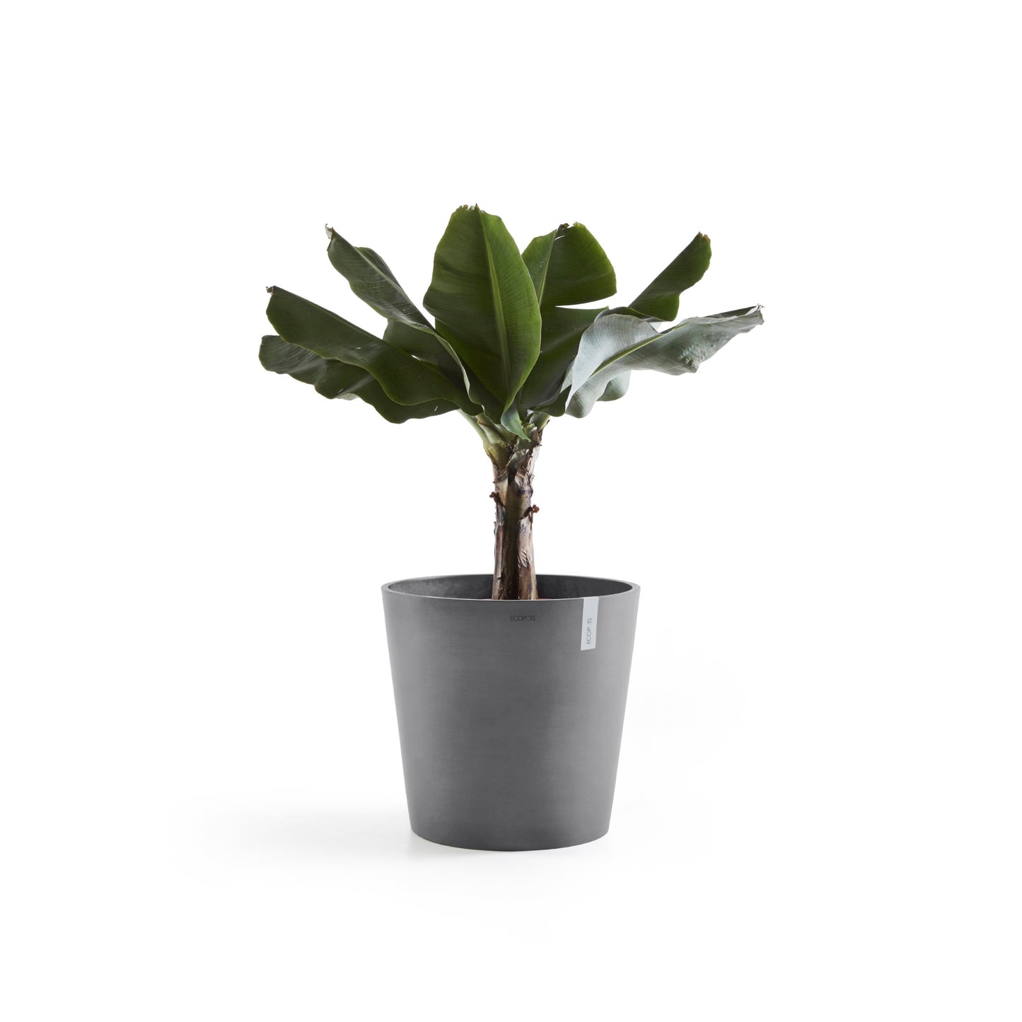 ECOPOTS Amsterdam 50 cm - blómapottur