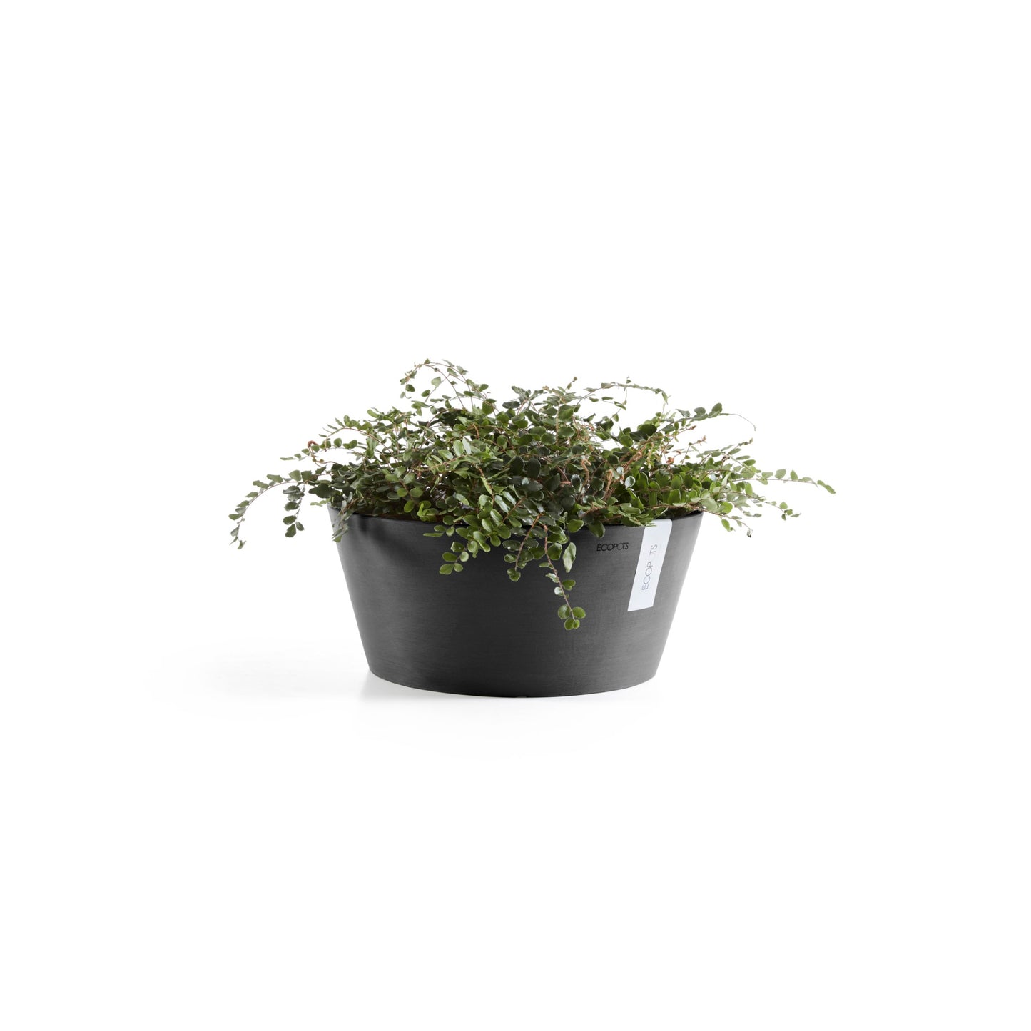 ECOPOTS Frankfurt 30 cm - blómapottur