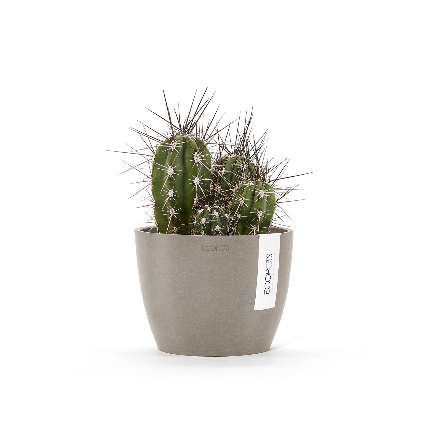 ECOPOTS Stockholm 16 cm - blómapottur