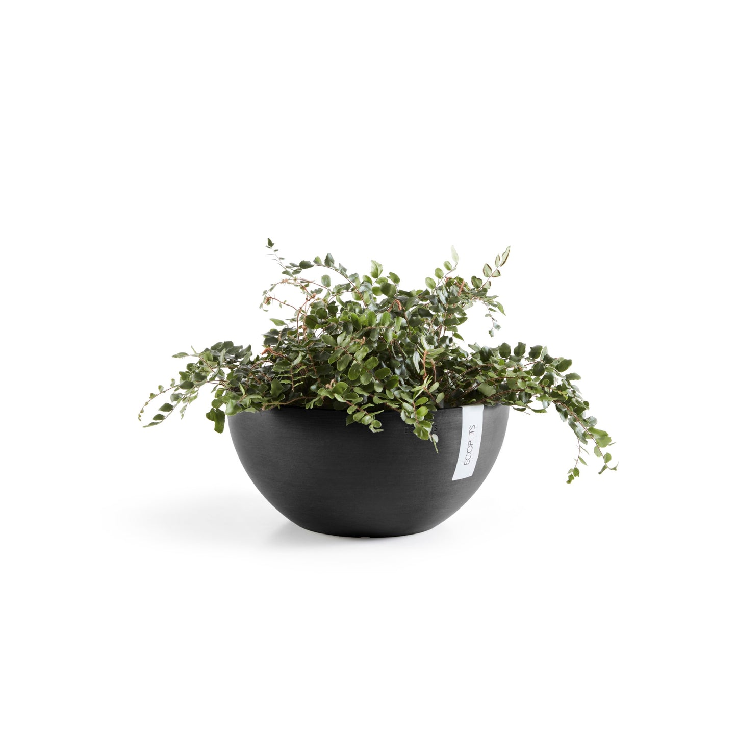 ECOPOTS Brussels 25 cm - blómapottur