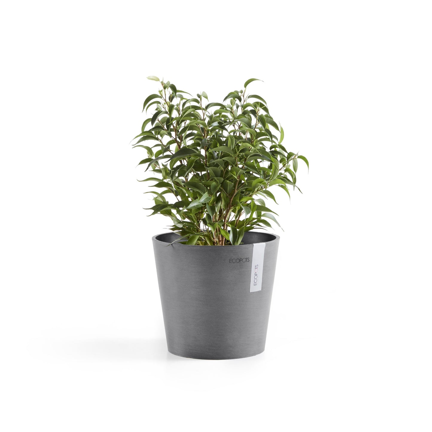 ECOPOTS Amsterdam 17 cm - blómapottur