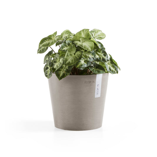 ECOPOTS Amsterdam 17 cm - blómapottur