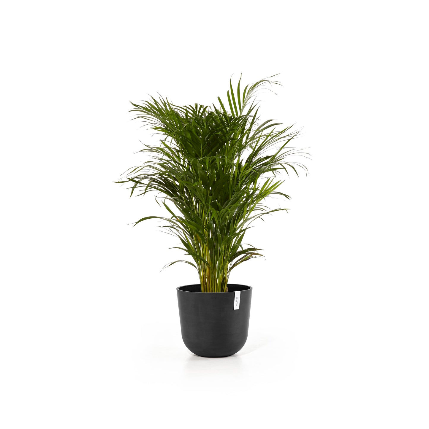 ECOPOTS Oslo 35 cm - blómapottur