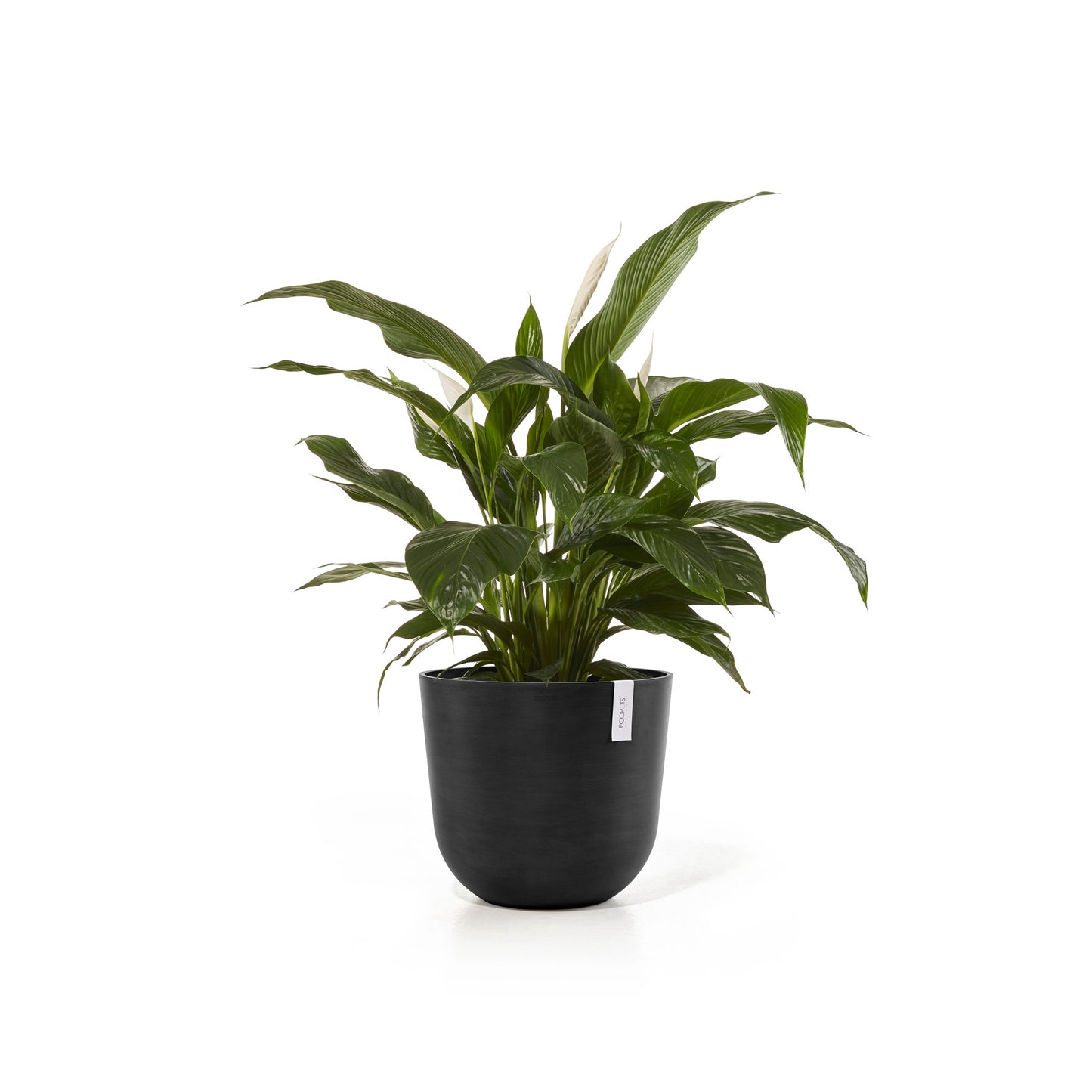 ECOPOTS Oslo 45 cm - blómapottur