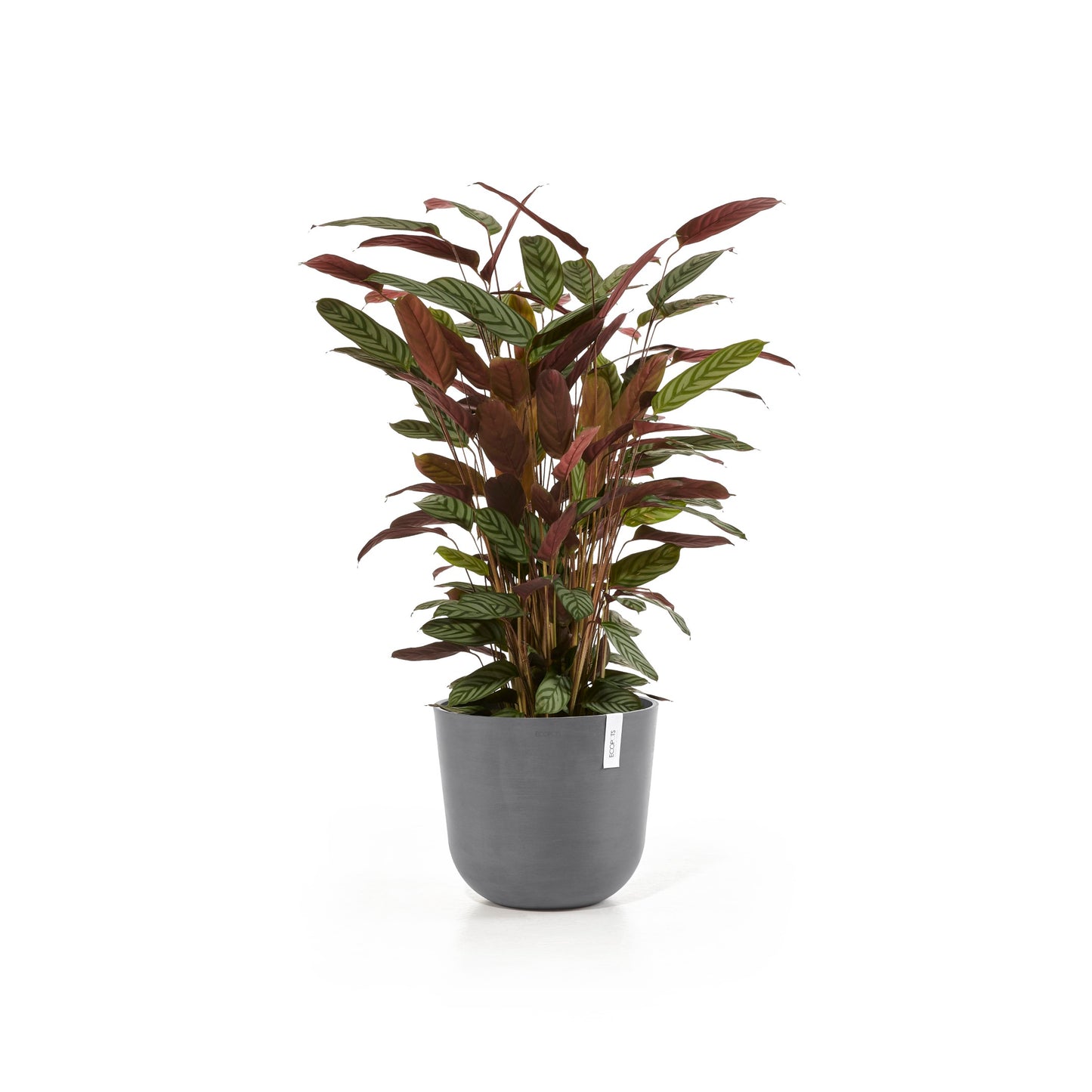 ECOPOTS Oslo 35 cm - blómapottur