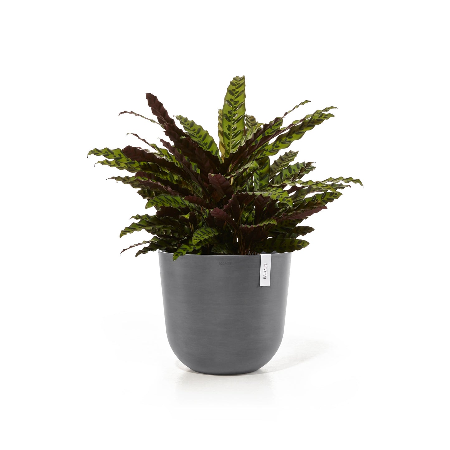 ECOPOTS Oslo 45 cm - blómapottur