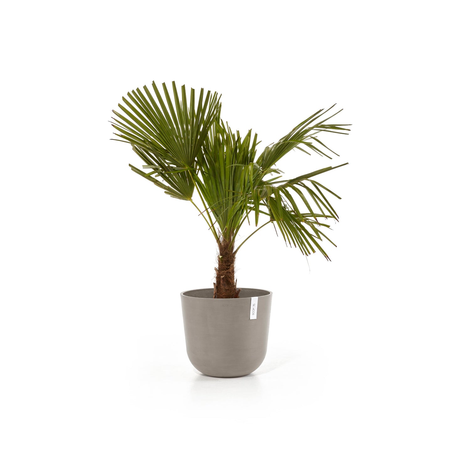 ECOPOTS Oslo 35 cm - blómapottur