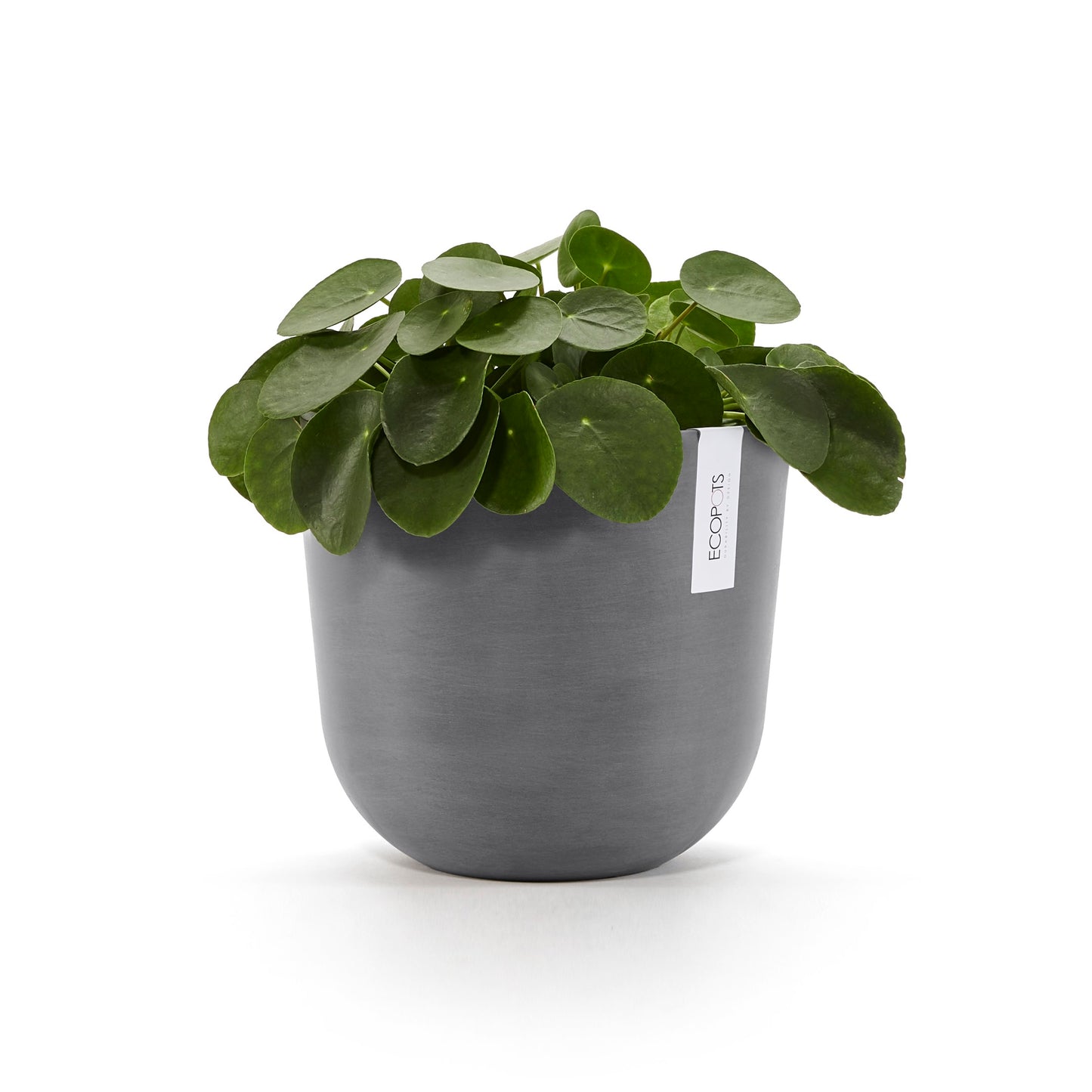 ECOPOTS Oslo 25 cm - blómapottur með vatnshólfi