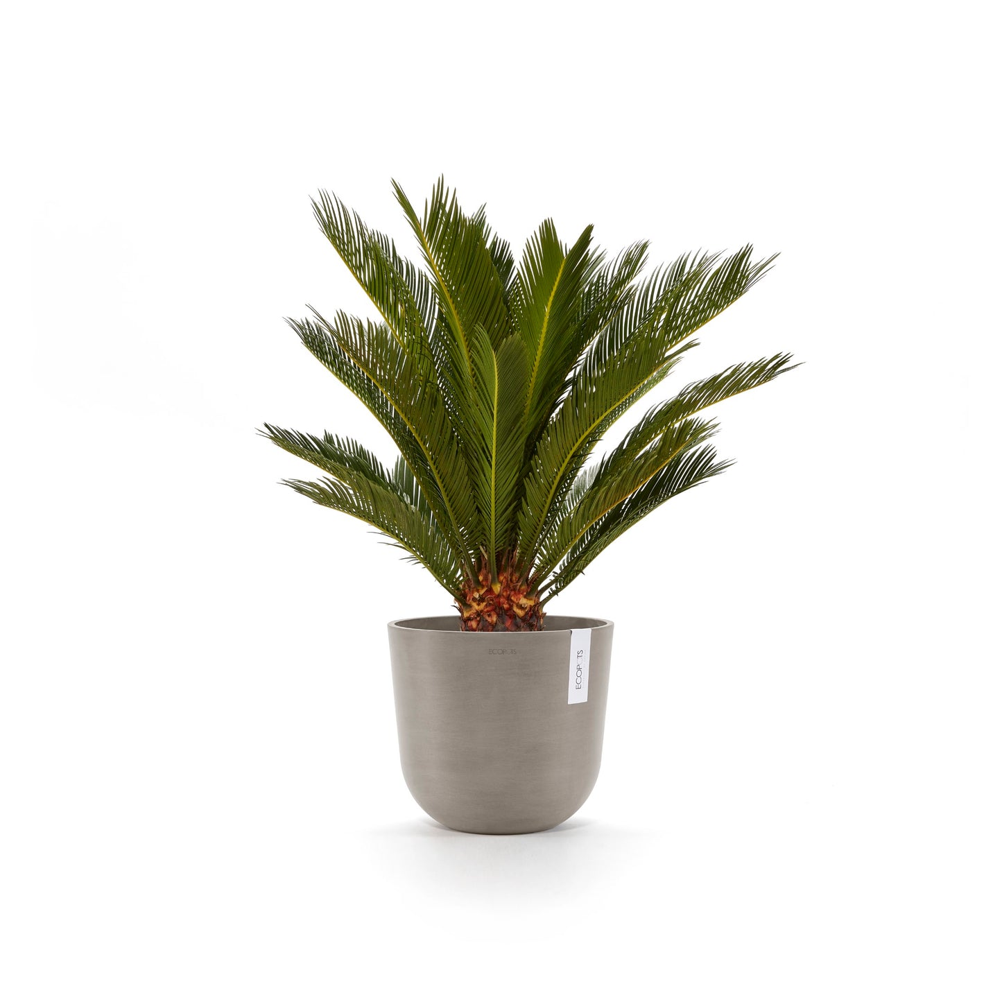 ECOPOTS Oslo 25 cm - blómapottur með vatnshólfi