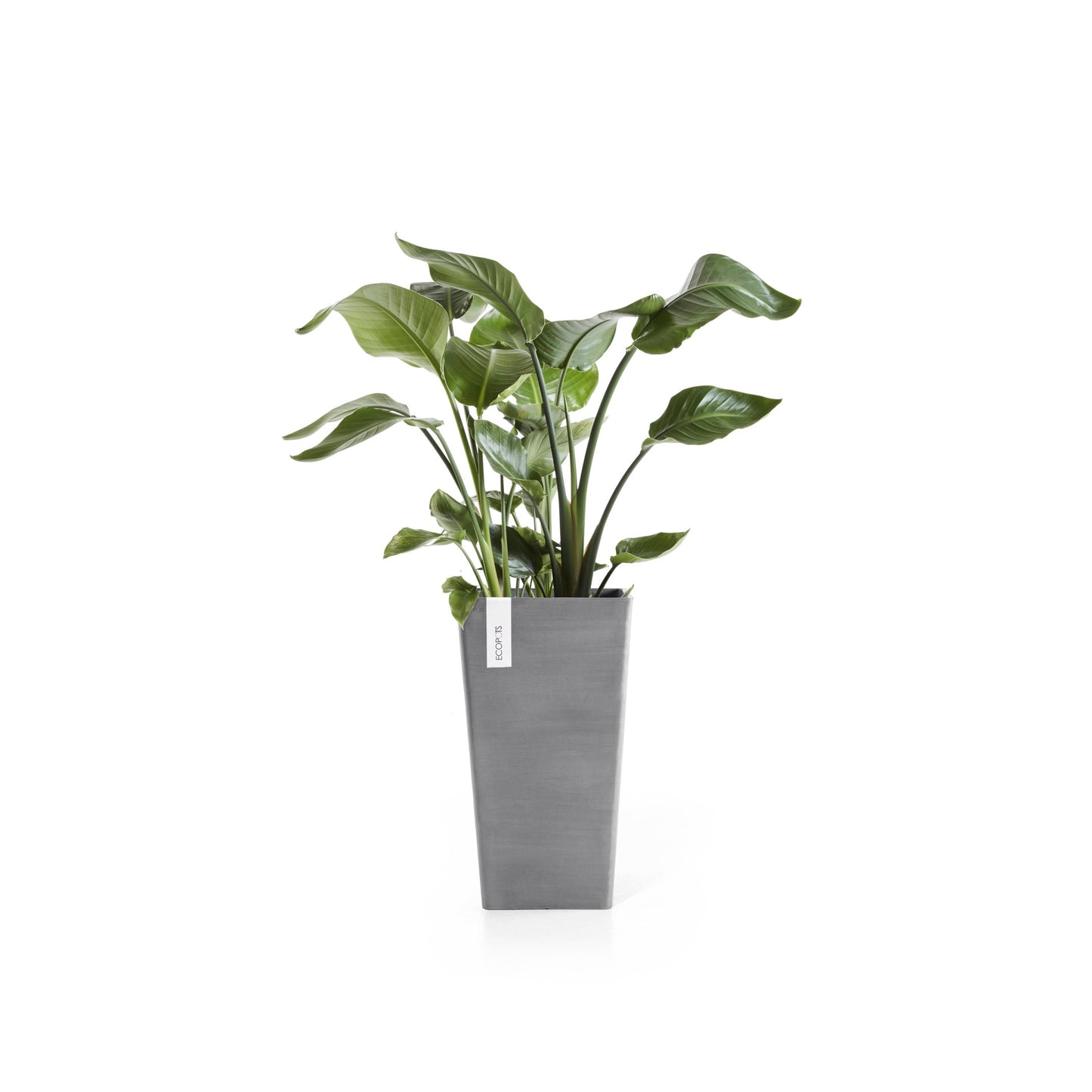 ECOPOTS Rotterdam 56 cm hátt - blómapottur