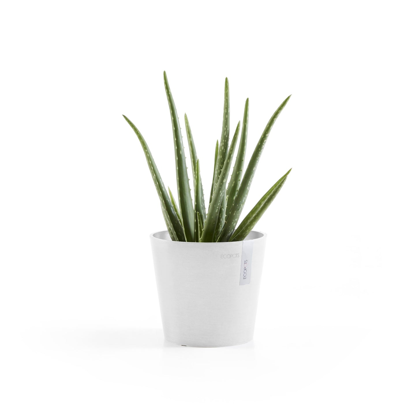 ECOPOTS Amsterdam 17 cm - blómapottur