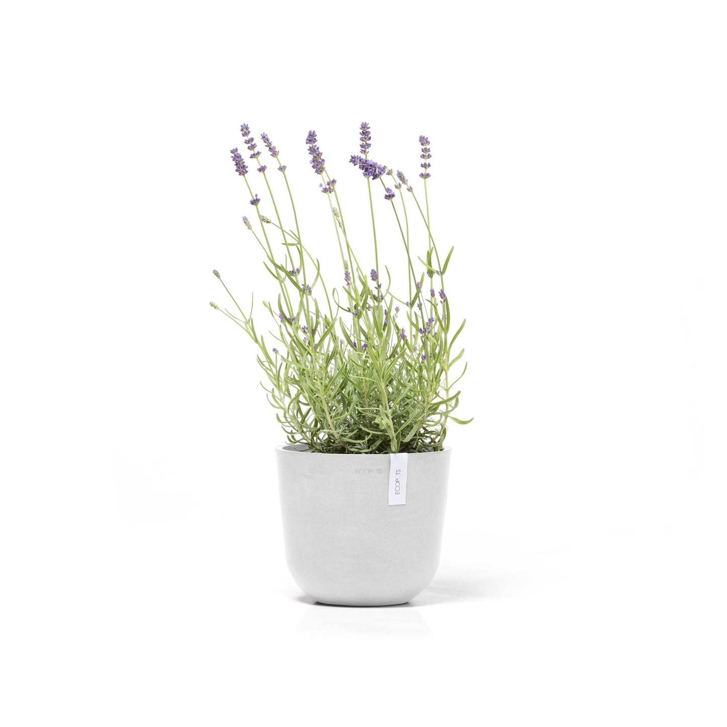 ECOPOTS Oslo 19 cm - blómapottur