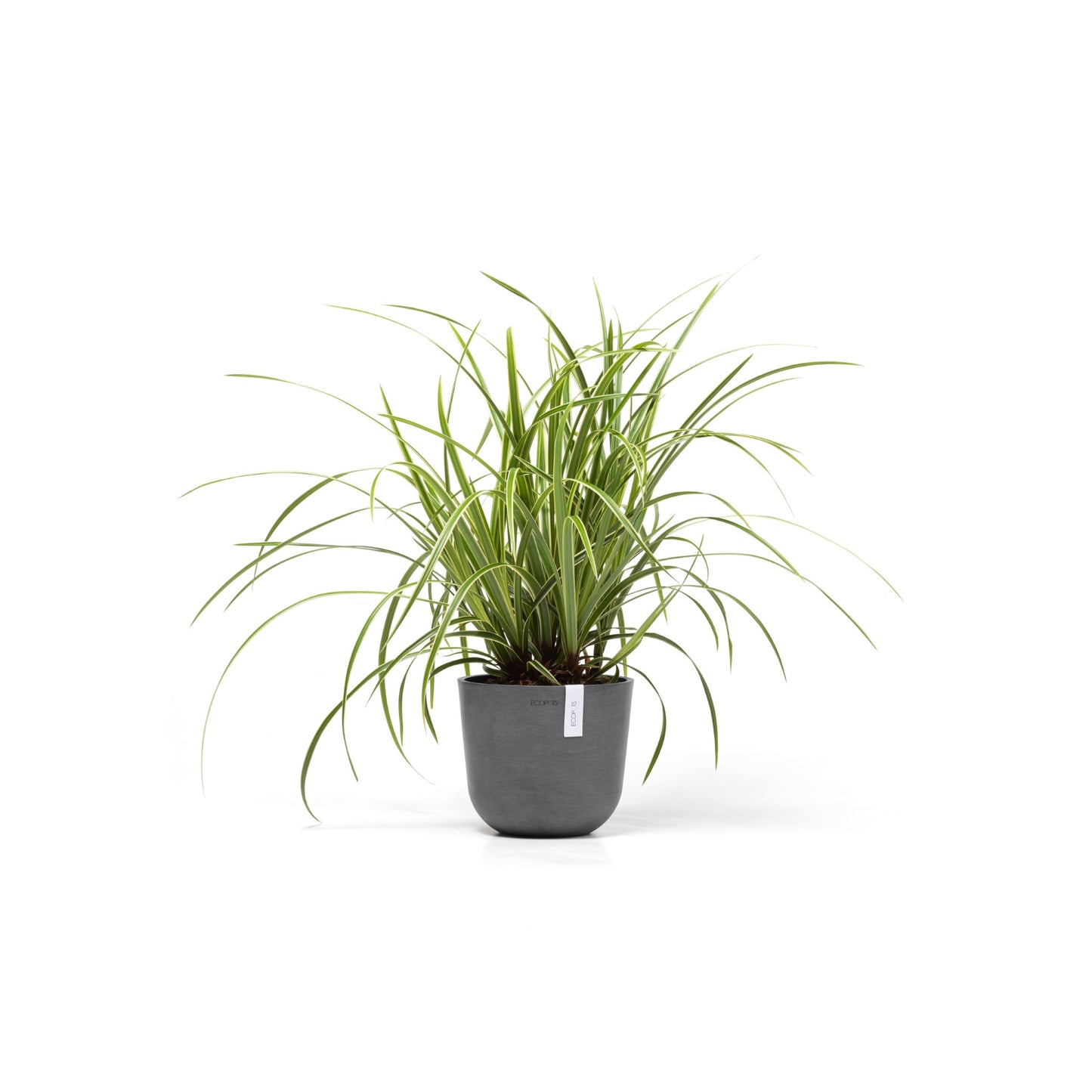 ECOPOTS Oslo 19 cm - blómapottur