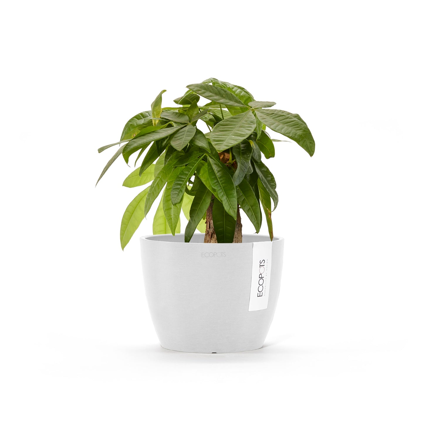 ECOPOTS Stockholm 16 cm - blómapottur