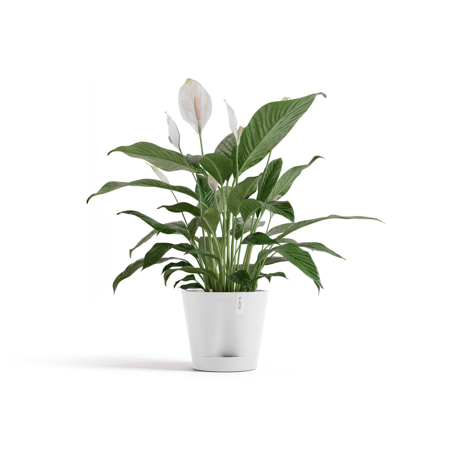 ECOPOTS Venice 20 cm - blómapottur
