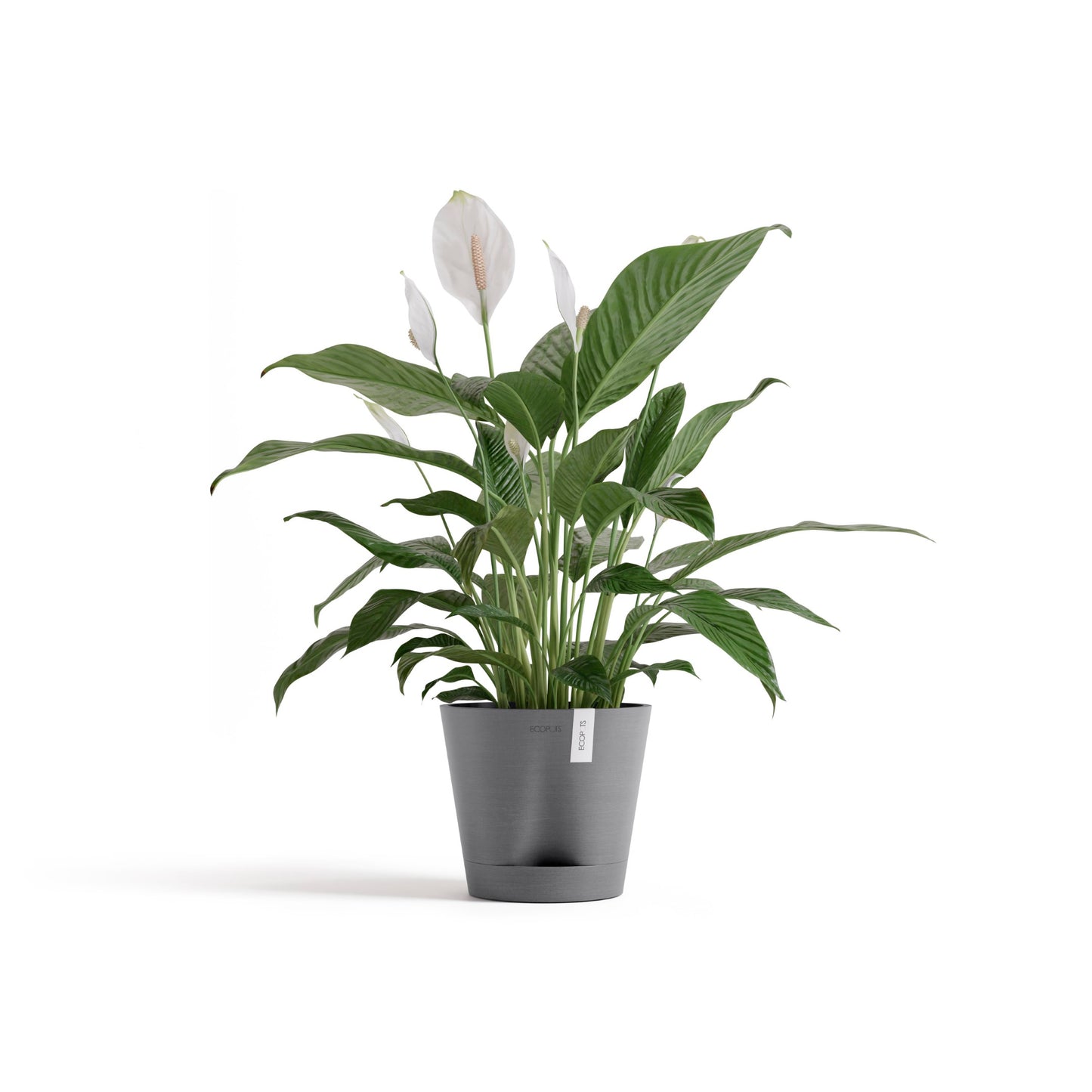 ECOPOTS Venice 20 cm - blómapottur