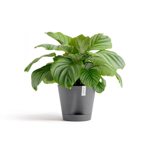 ECOPOTS Venice 30 cm - blómapottur