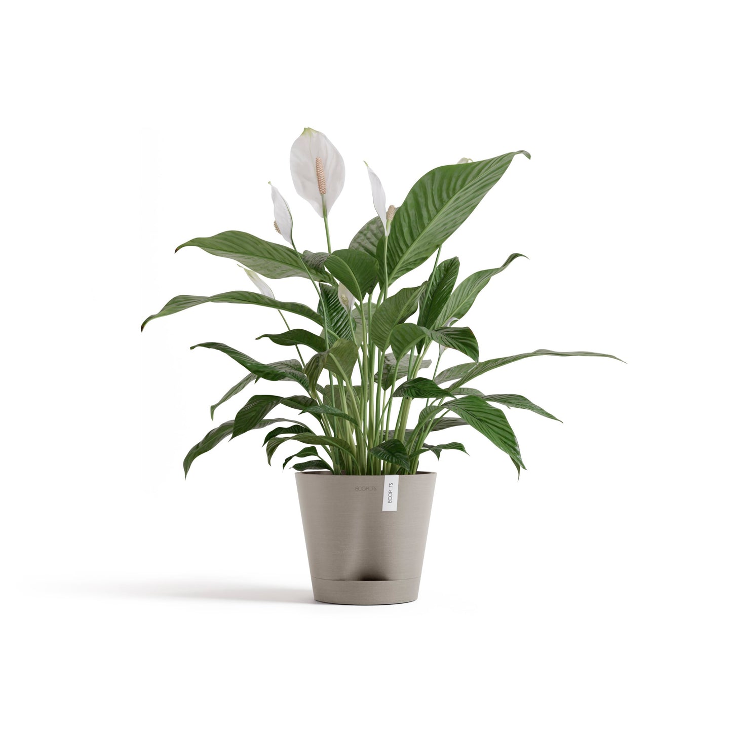 ECOPOTS Venice 20 cm - blómapottur