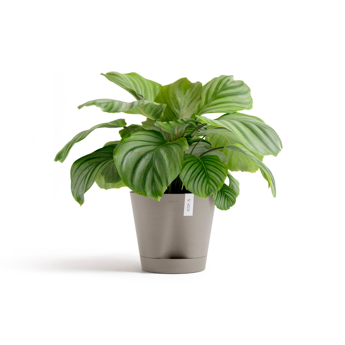 ECOPOTS Venice 30 cm - blómapottur