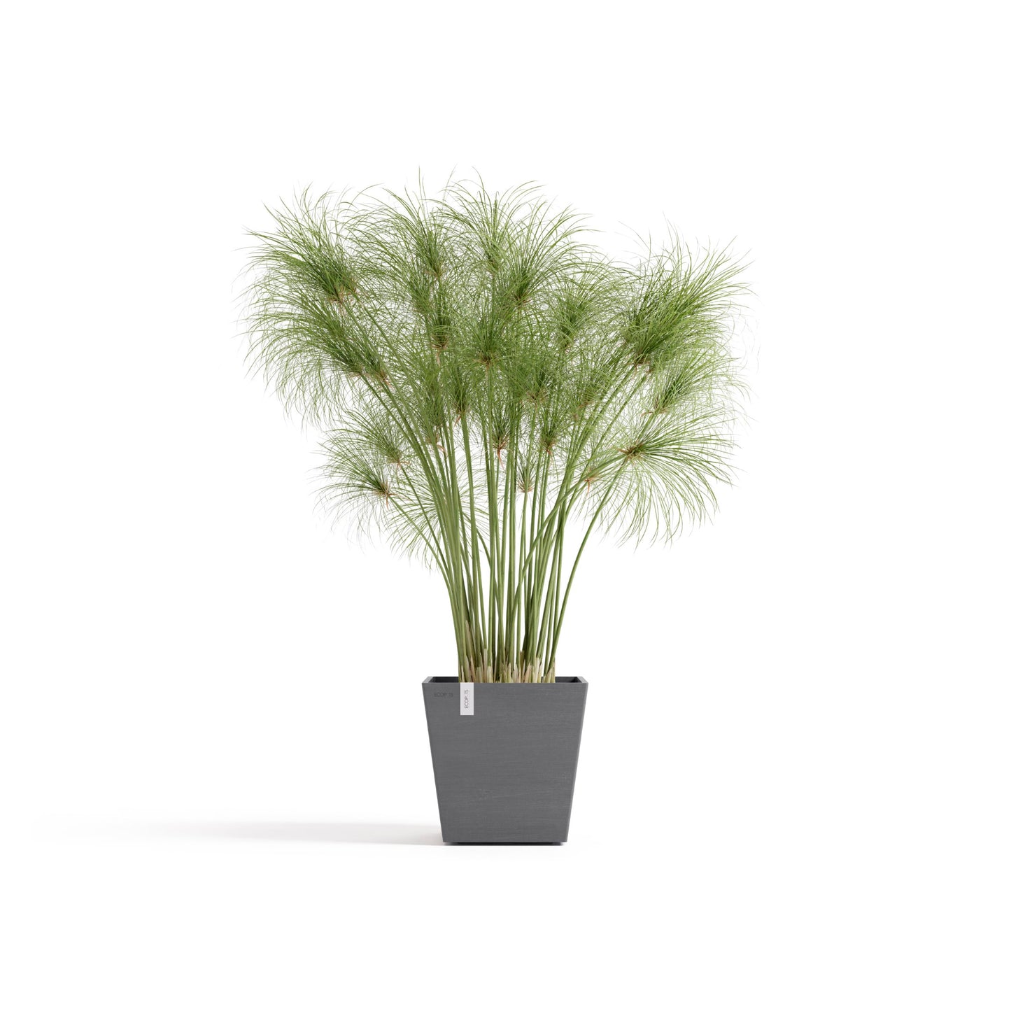 ECOPOTS Rotterdam 25 cm - blómapottur með vatnshólfi