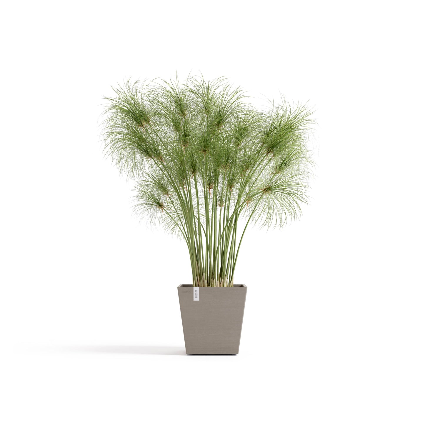 ECOPOTS Rotterdam 25 cm - blómapottur með vatnshólfi