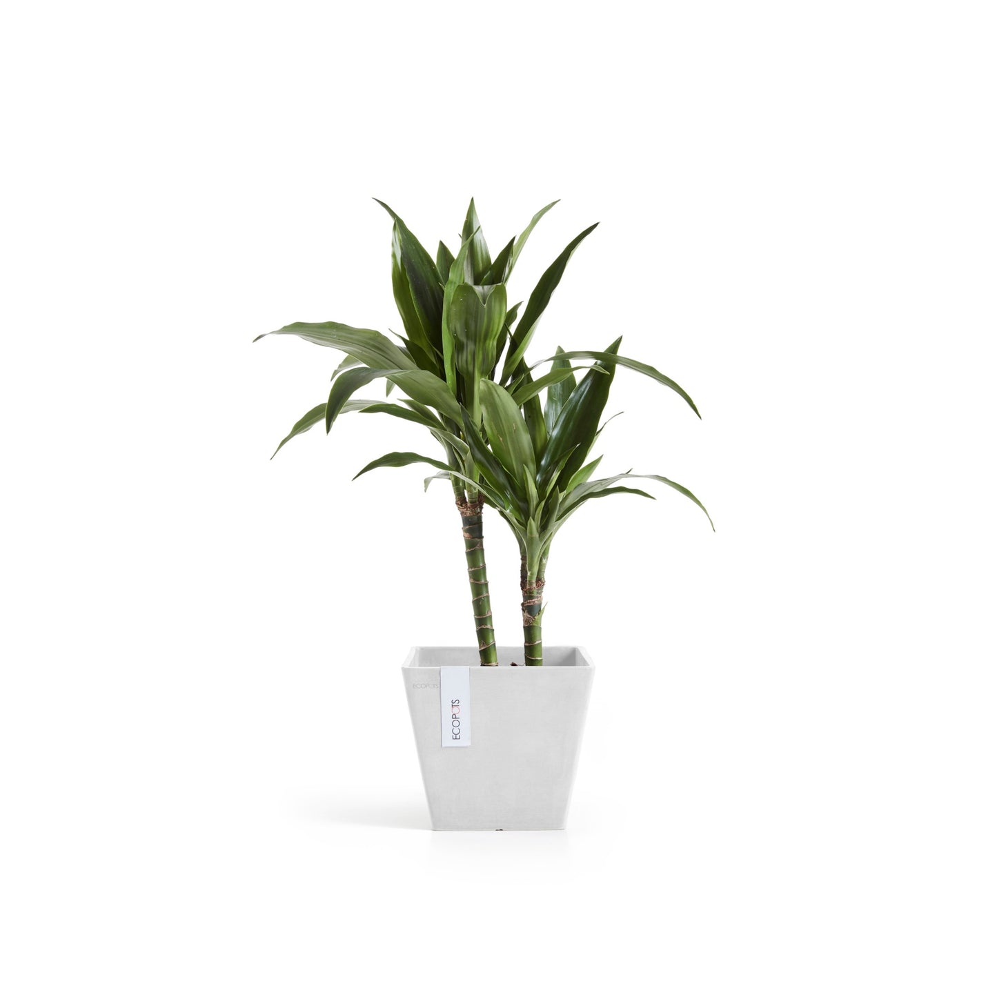 ECOPOTS Rotterdam 20 cm - blómapottur