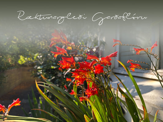 Ræktunargleði Garðaflóru - fræðsla í áskrift